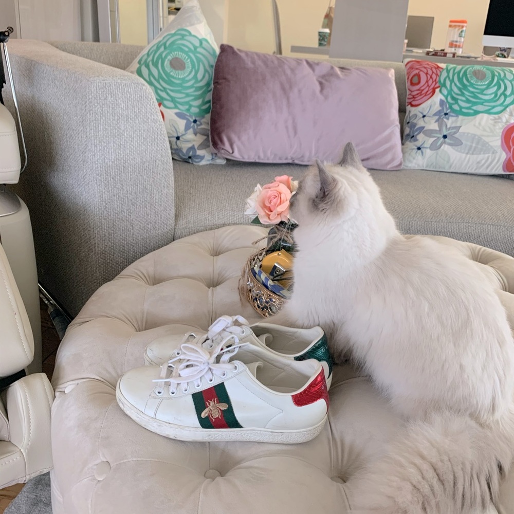 Gucci Sneakers